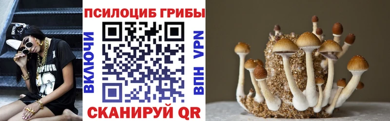 Псилоцибиновые грибы Magic Shrooms  хочу   Приволжский 